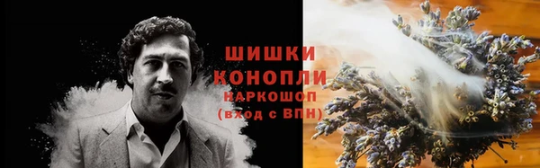 прущие грибы Алзамай