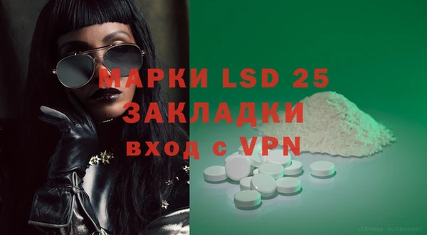 прущие грибы Алзамай