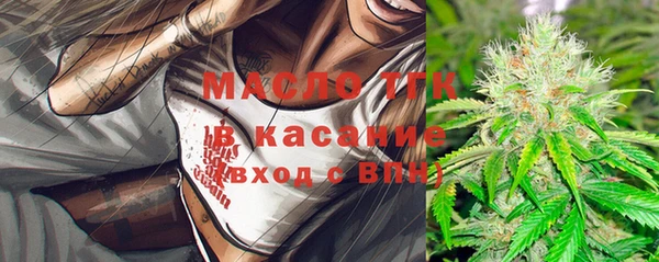 прущие грибы Алзамай