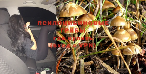 скорость Алексин